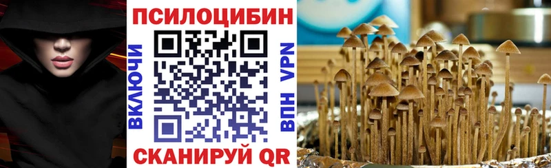 Галлюциногенные грибы GOLDEN TEACHER  дарнет шоп  Опочка 